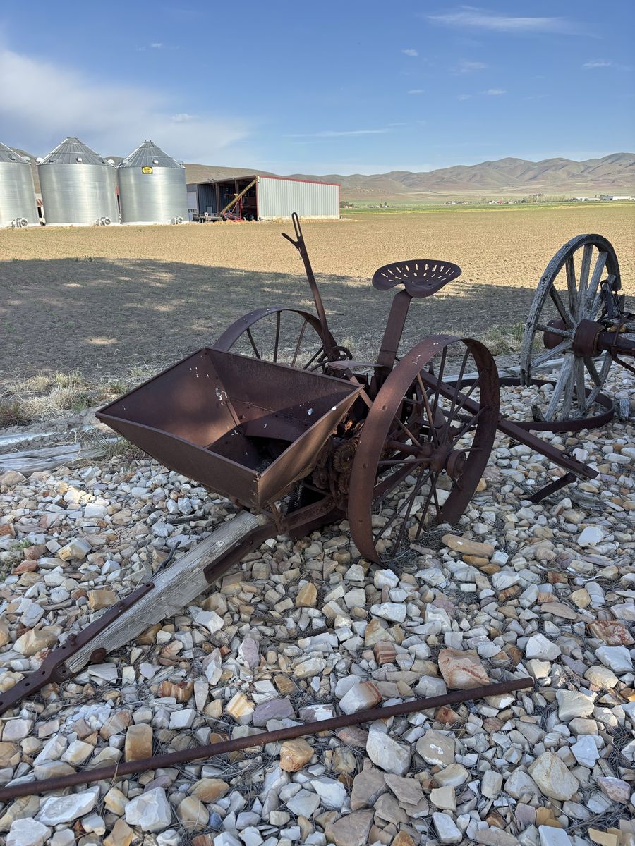Potato planter