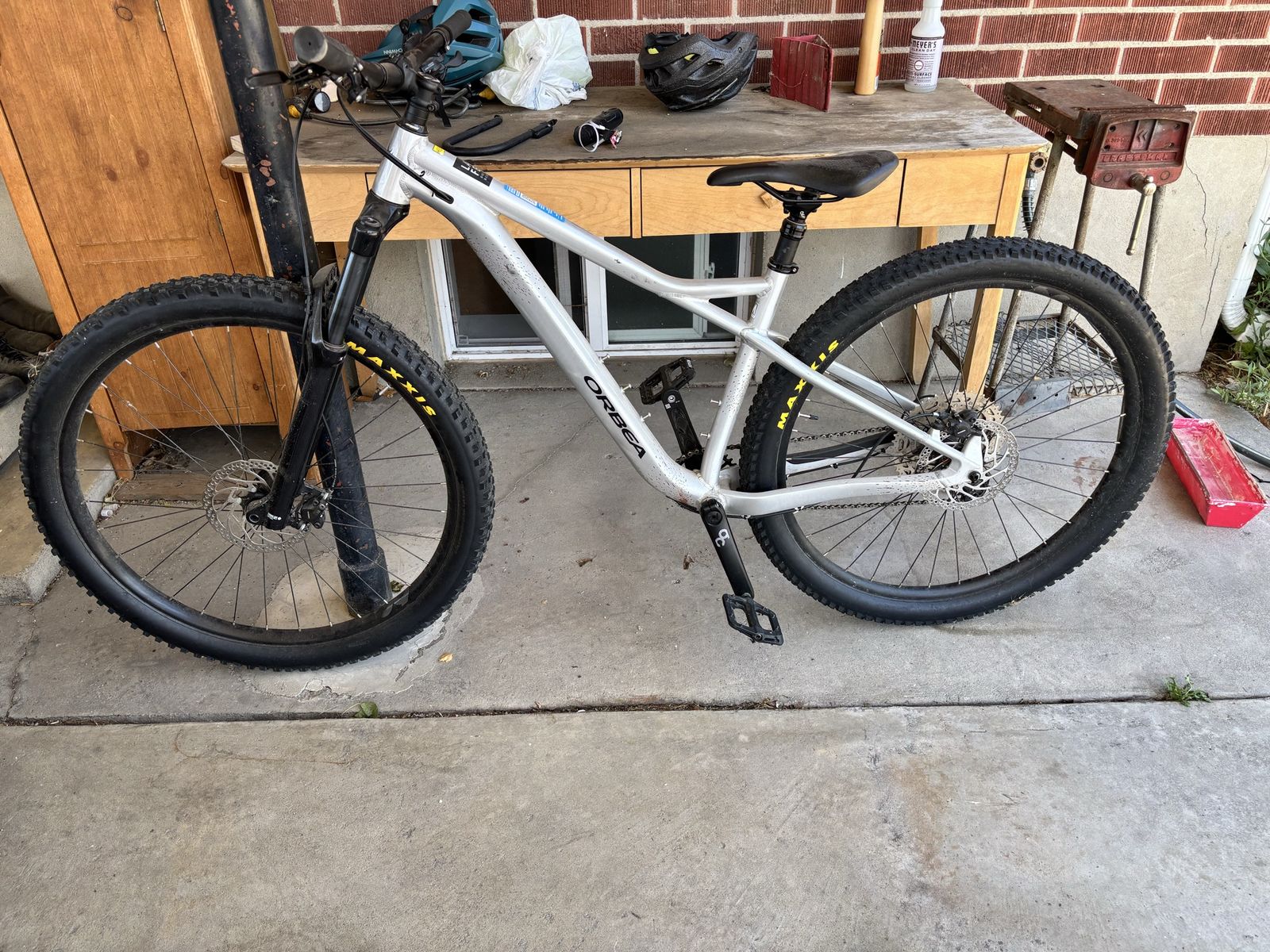 Orbea hardtail mountain bike