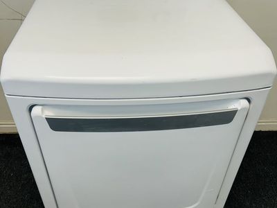Lg electric dryer