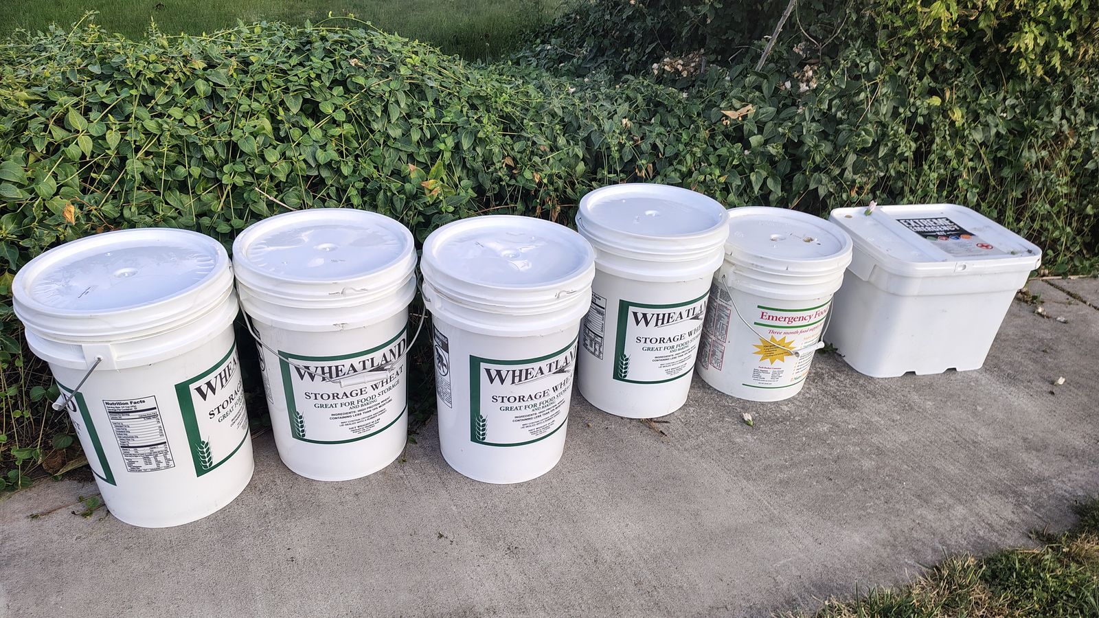 45 lb buckets of hard white wheat for food storage