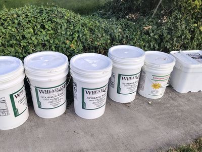 45 lb buckets of hard white wheat for food storage