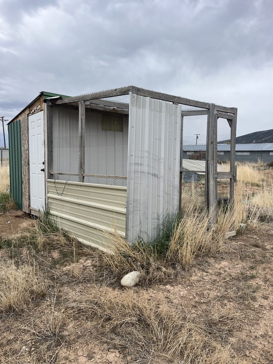 Chicken Coop