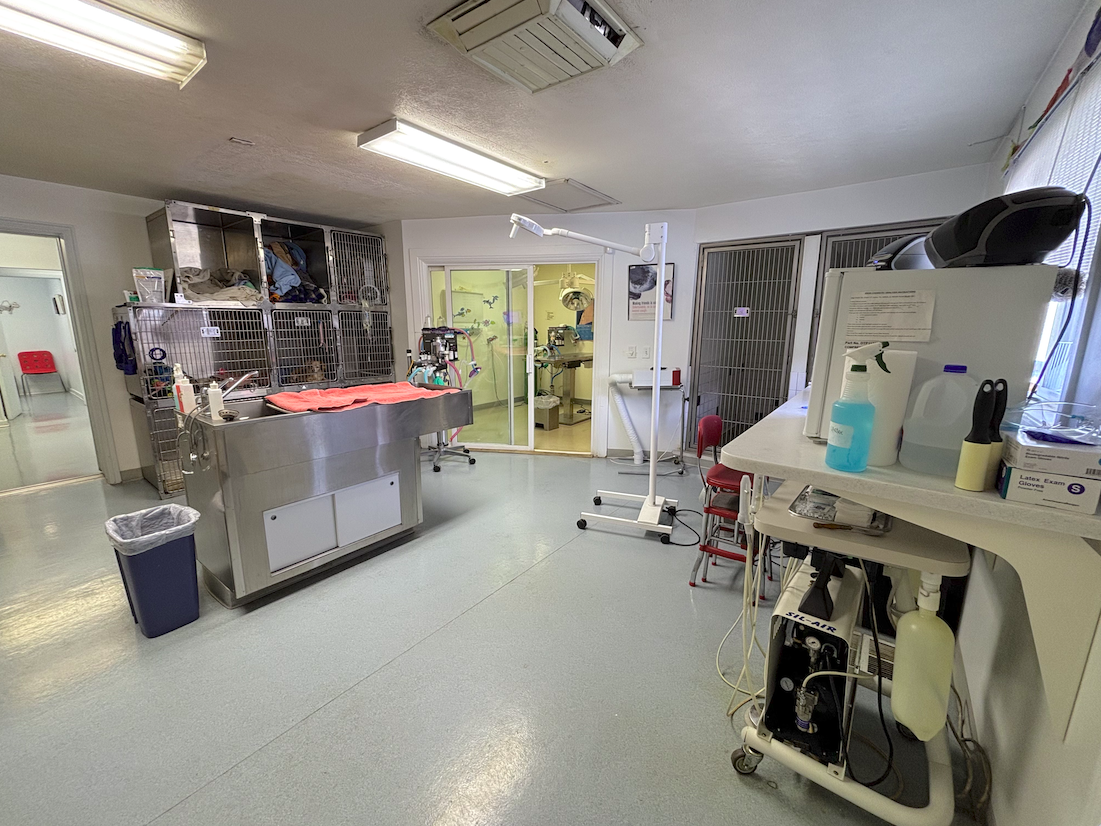 Main image 12