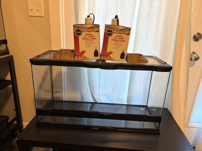30x12x18 terrariums