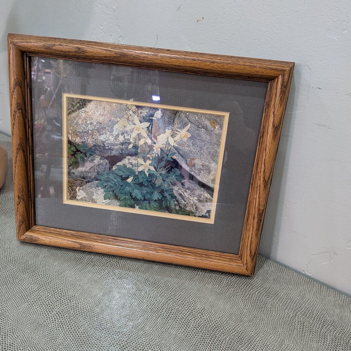 Frederic joy framed photograph