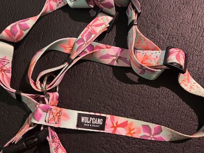 Wolfgang Dog Harness - LARGE
