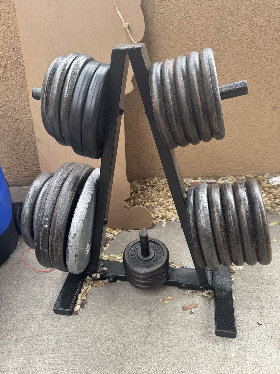 25 plates and weight tree w/bench