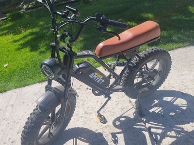 ebike