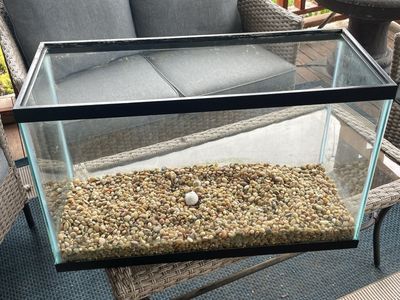 29 Gallon Aquarium