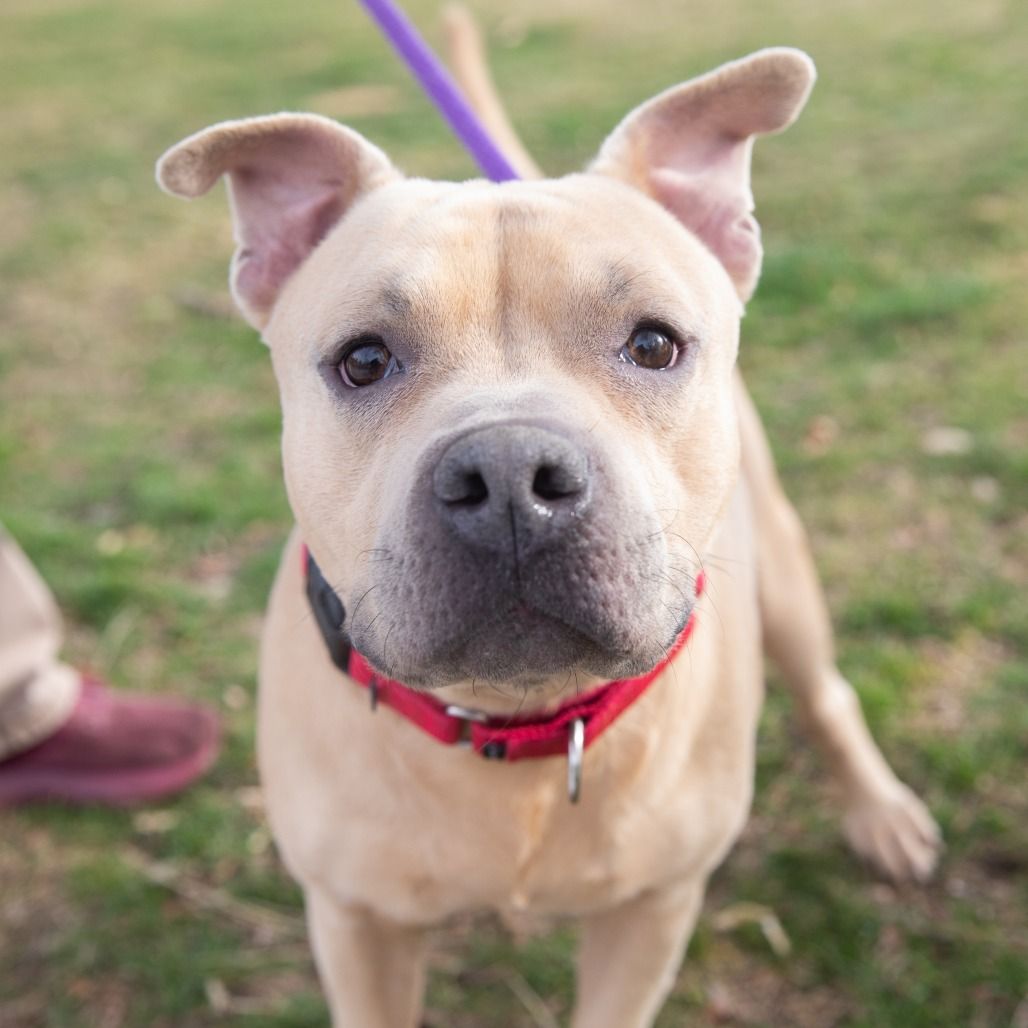 Hello my name is McLovin