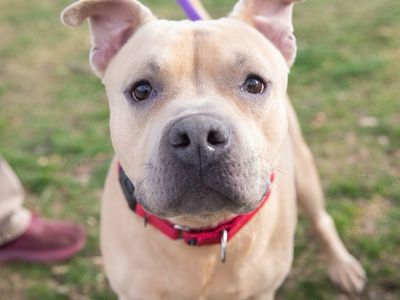 Hello my name is McLovin