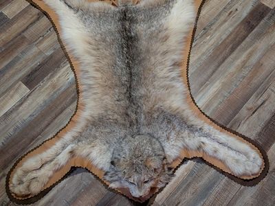 Lynx fur wall hanging / rug