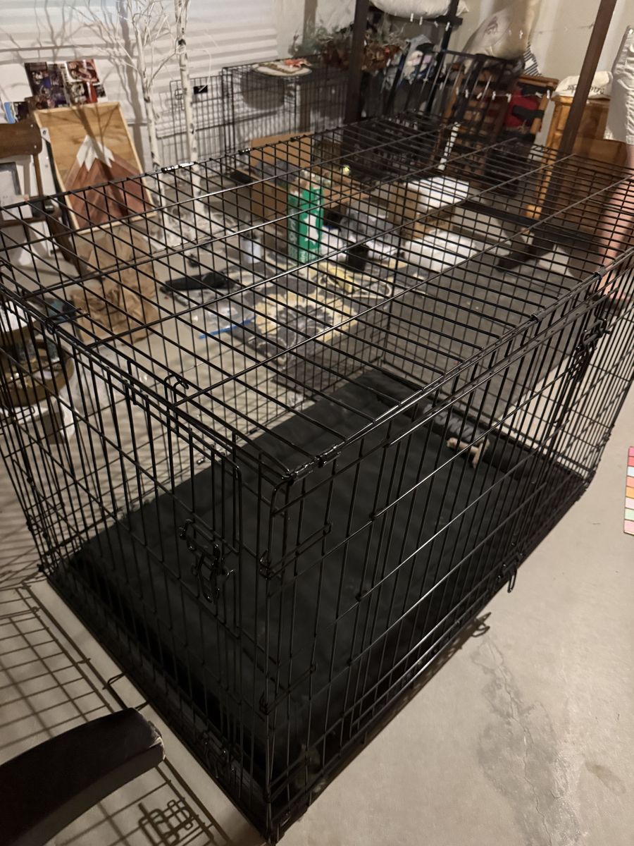 Large Dog Kennel