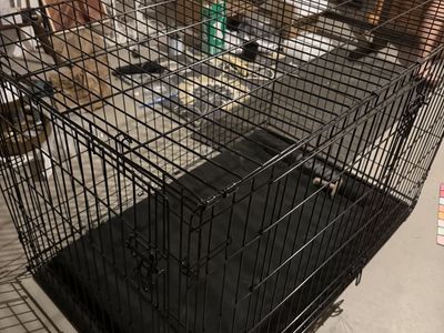 Large Dog Kennel