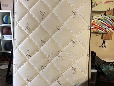 Actually Free Twin Mattress