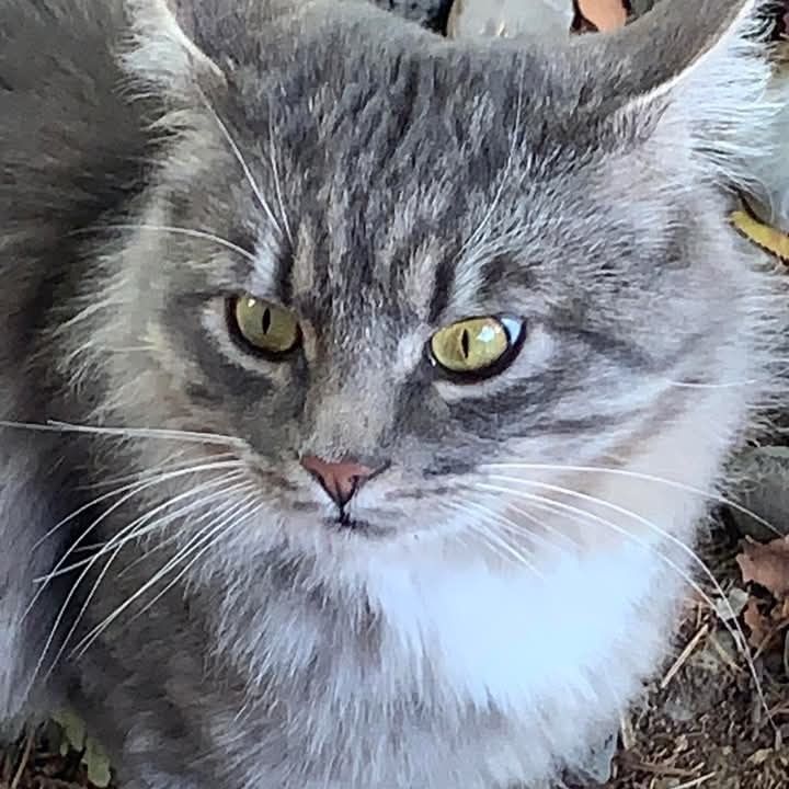 Hello my name is "Squeeky"