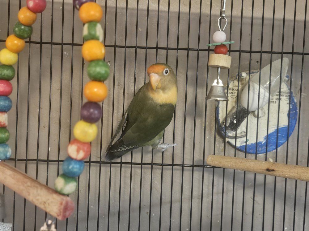 Main image 4