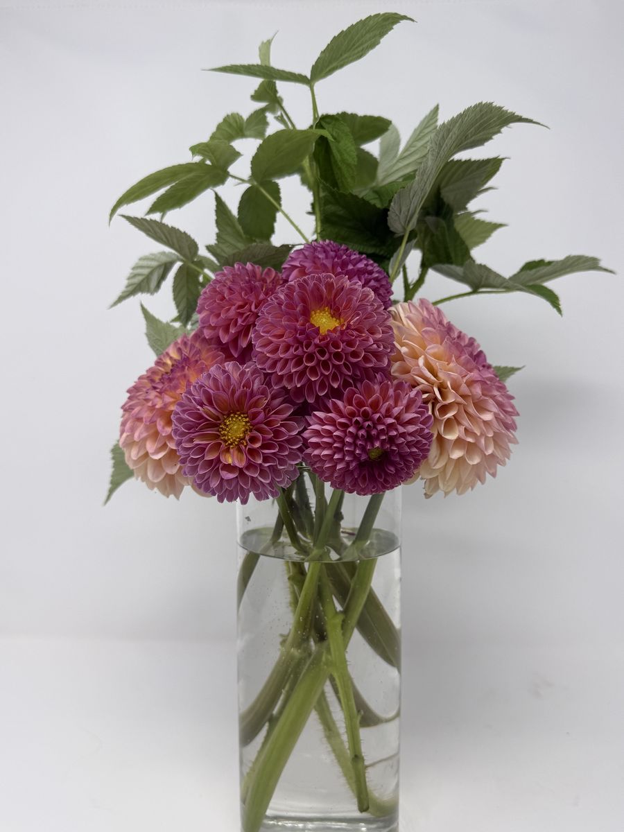 Main image 5