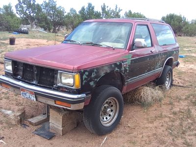 1989 S10 Blazer