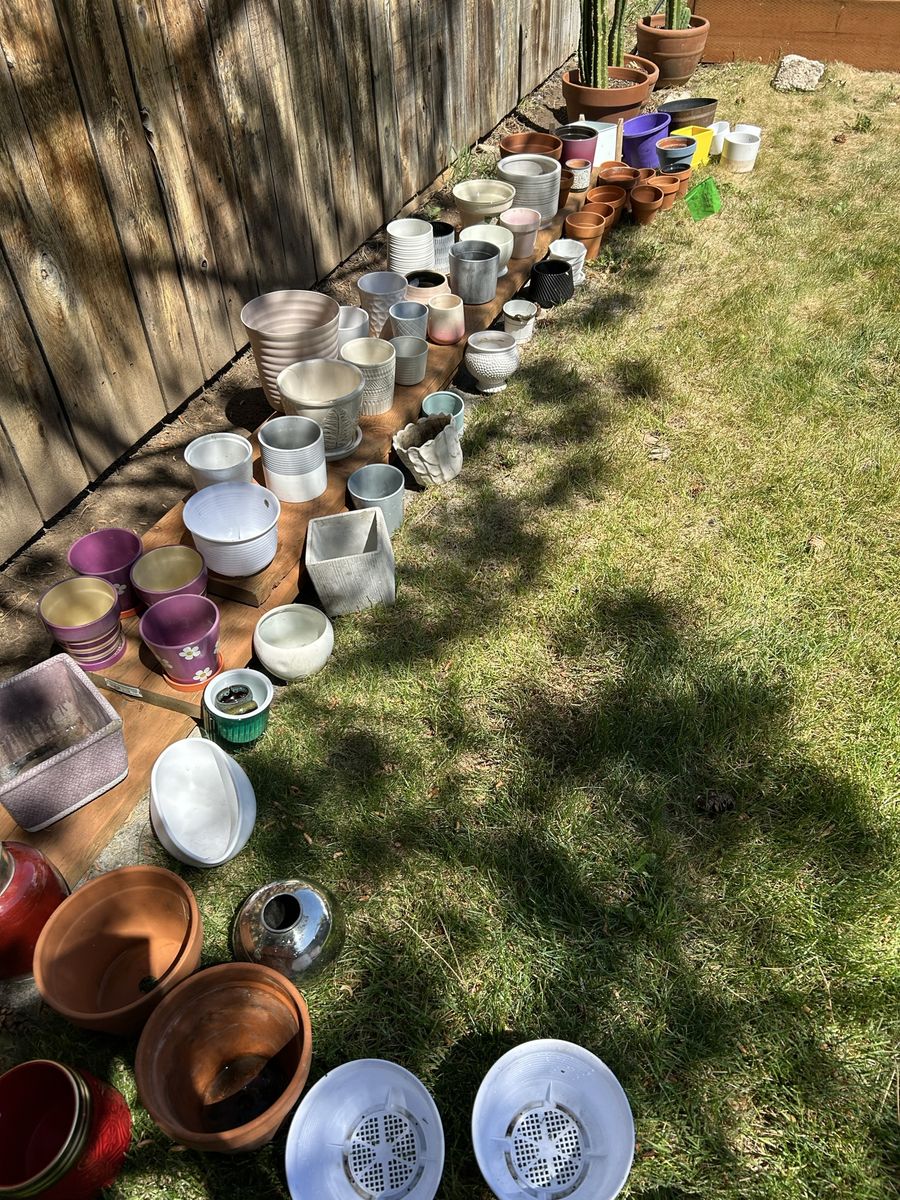 Huge selection of plant pots!