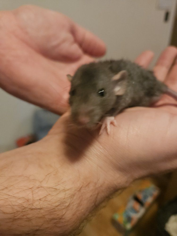 Main image 6