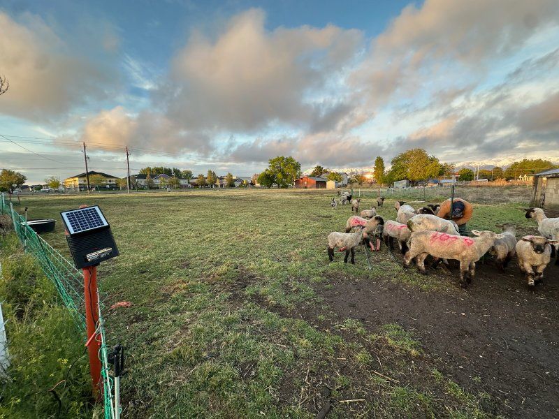 In search for land to lease