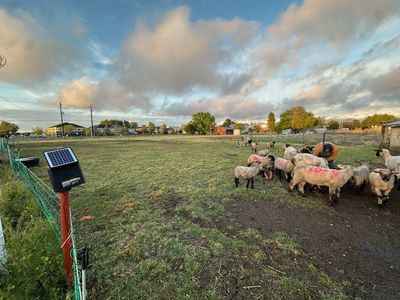 In search for land to lease