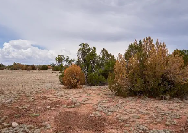 1.93 Acres in Yavapai County – Easy Access + Trees