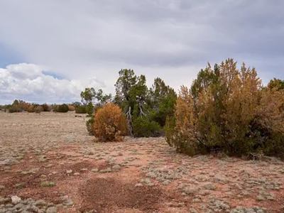 1.93 Acres in Yavapai County – Easy Access + Trees