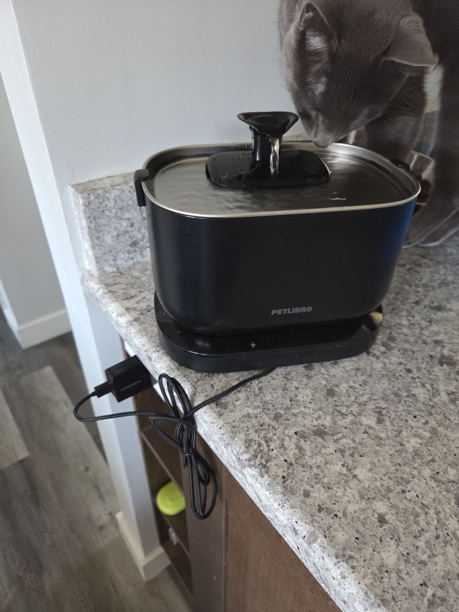 Animal water fountains & food automatic dispensers 20 each