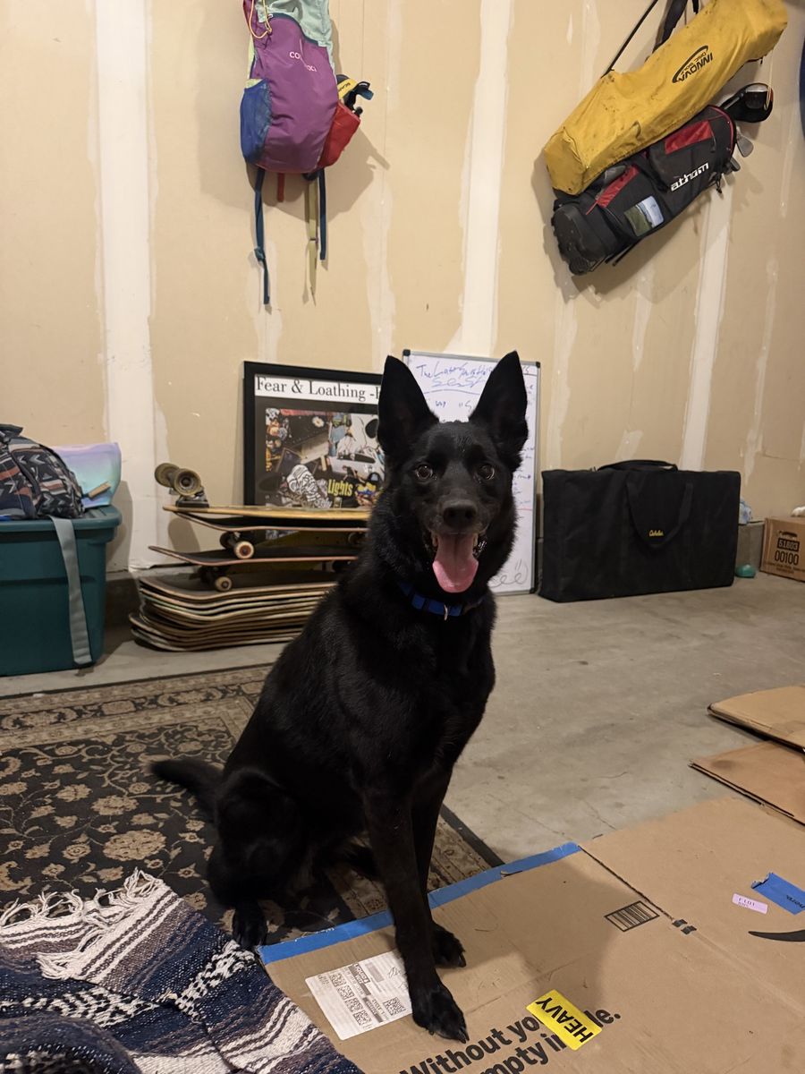 Looking for owner
