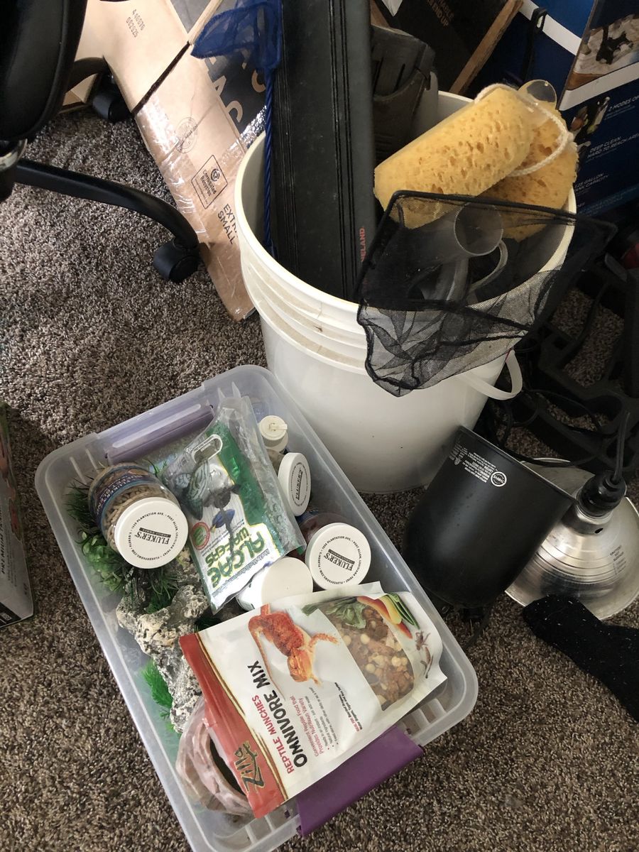 Used Aquarium Supplies- Buckets, Hoses, Nets, Decor, Food Lamps