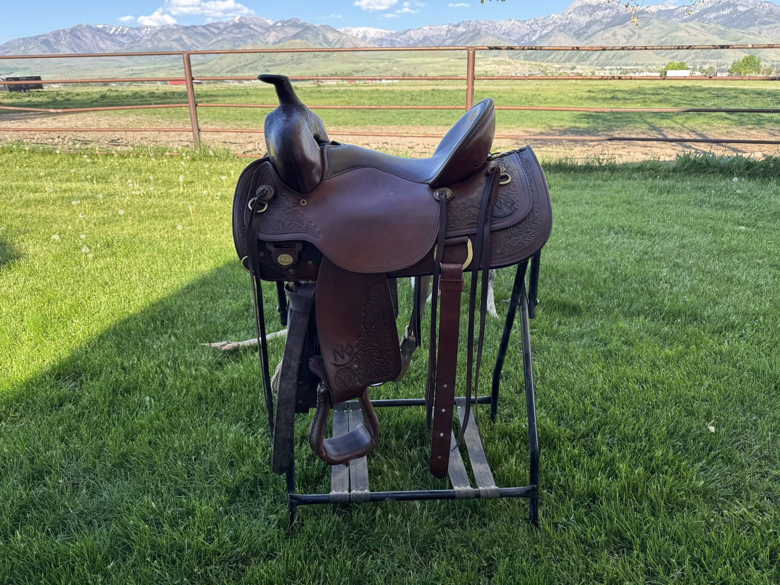 Circle Y trail saddle