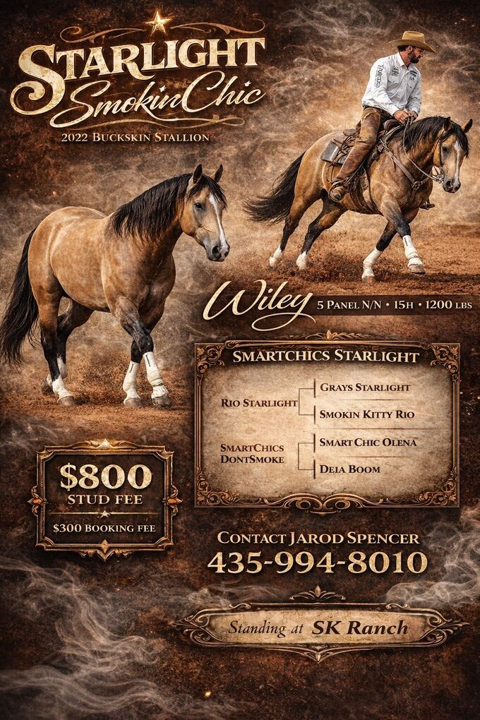 STARLIGHT SMOKINCHIC by Smart Chic Olena