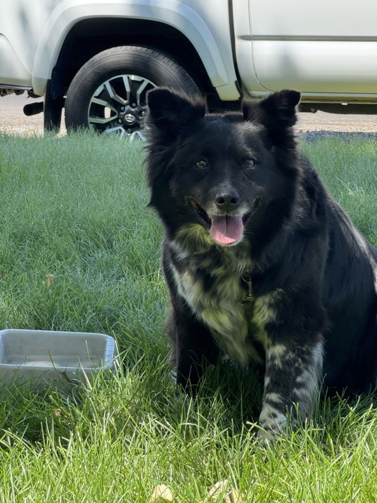 Owner Passed Away - Needs New Home