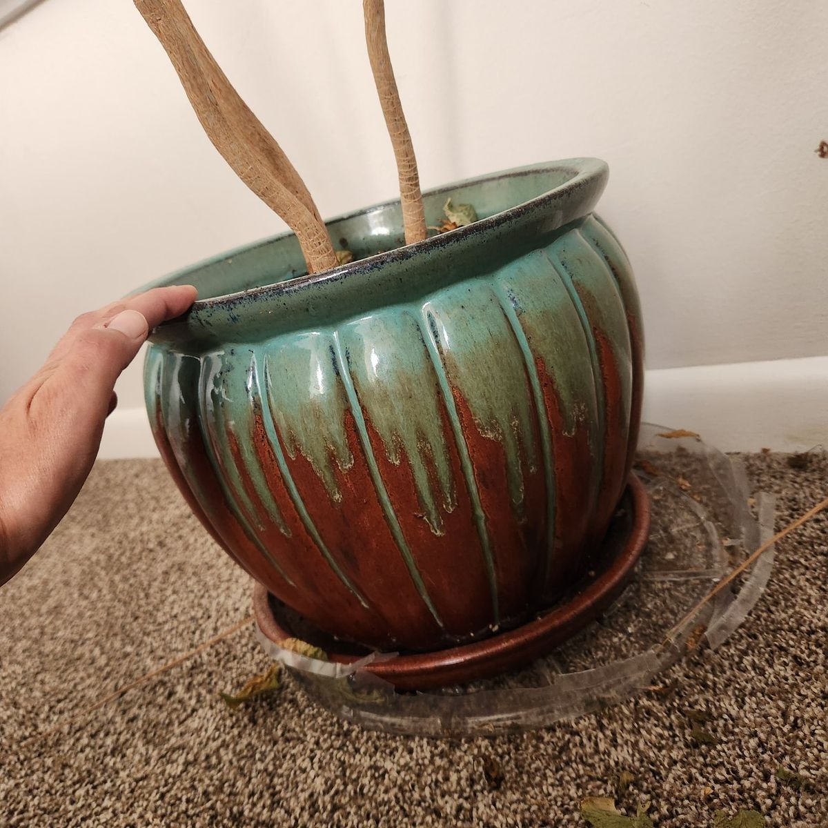 Main image 2