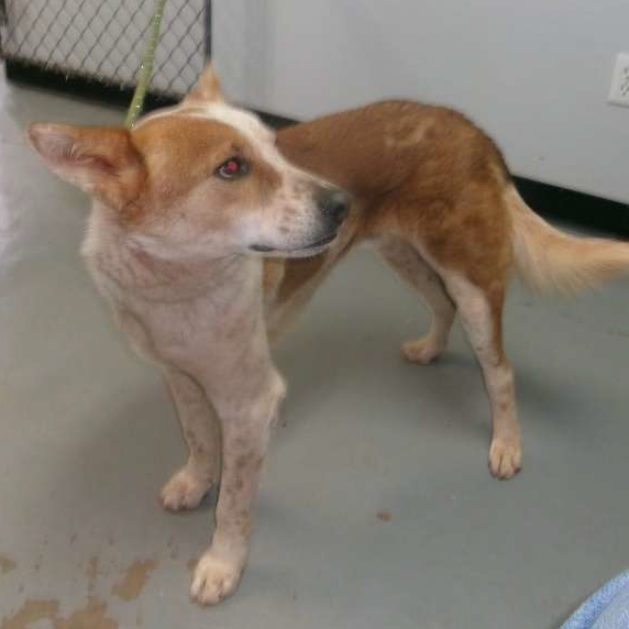 Hello my name is Finch