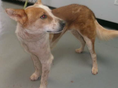 Hello my name is Finch