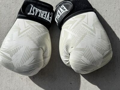 12oz Everlast Gloves