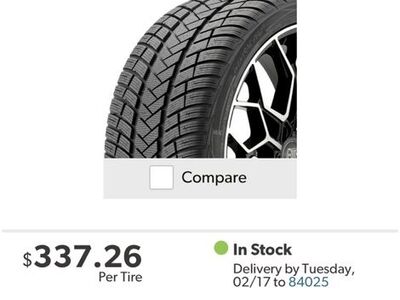 265/45-21 Winter Tires- Great Shape!