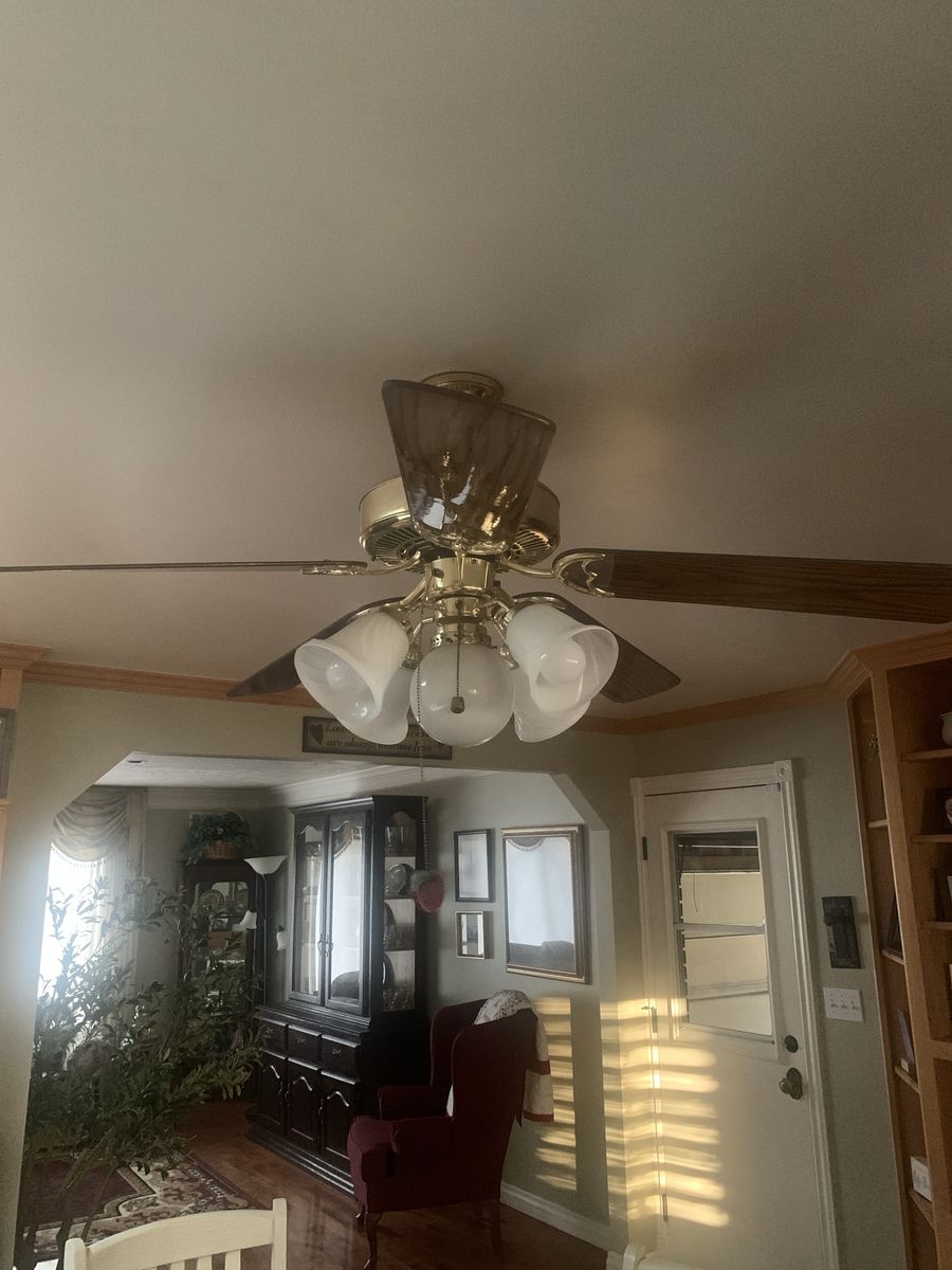 Ceiling fan/light fixture