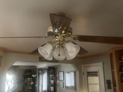 Ceiling fan/light fixture