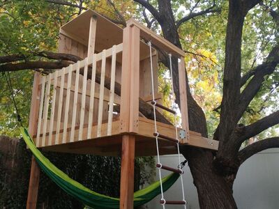 Free Tree House (Sugar House)