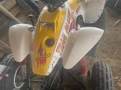 1999 Polaris trail blazer 250