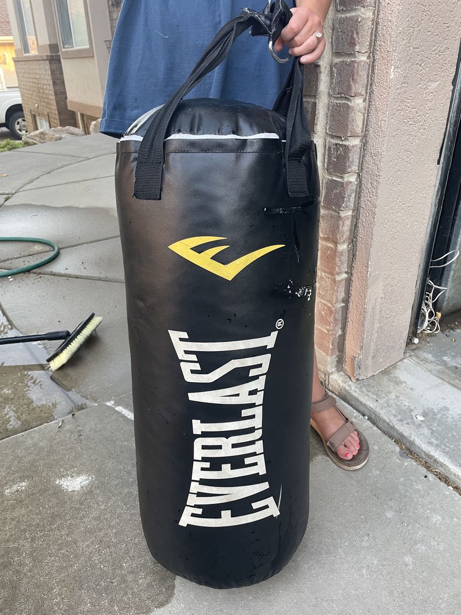 Everlast Punching Bag – Great Condition – $50 OBO