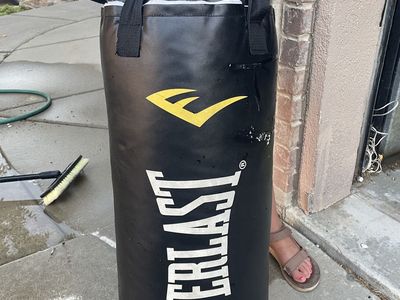 Everlast Punching Bag – Great Condition – $50 OBO