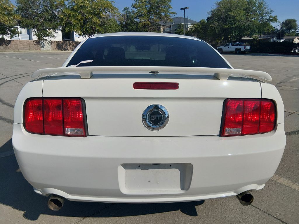 Main image 6