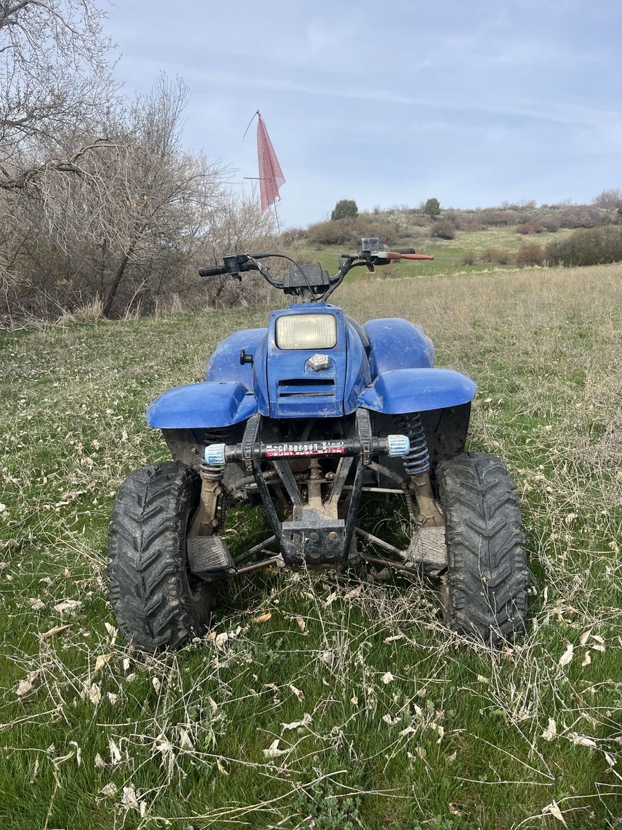 Polaris Trailblazer 250