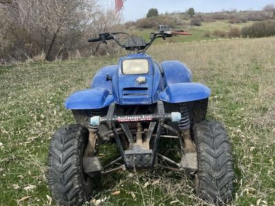 Polaris Trailblazer 250
