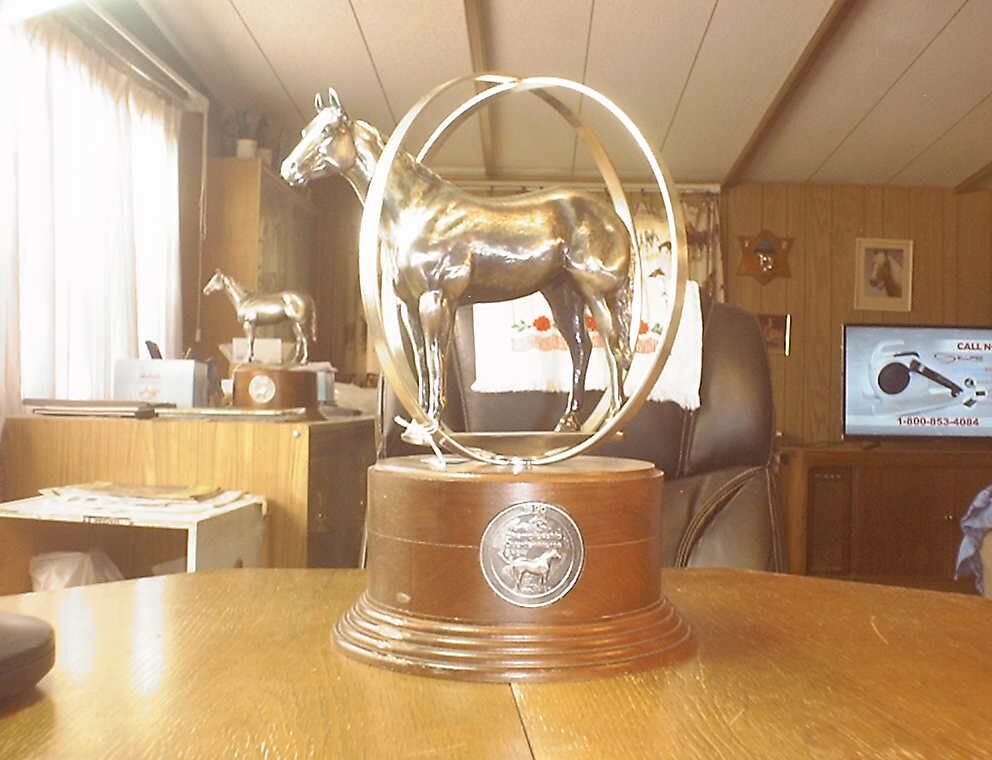 World Champion Quarter Horse Trophies & Bronze Trophies